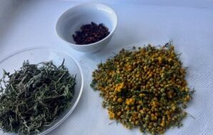 maitsetaimed parasiitide eemaldamiseks kehast