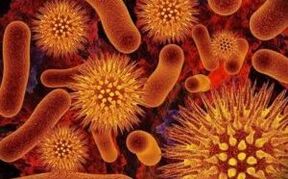 parasiitide tüübid inimkehas